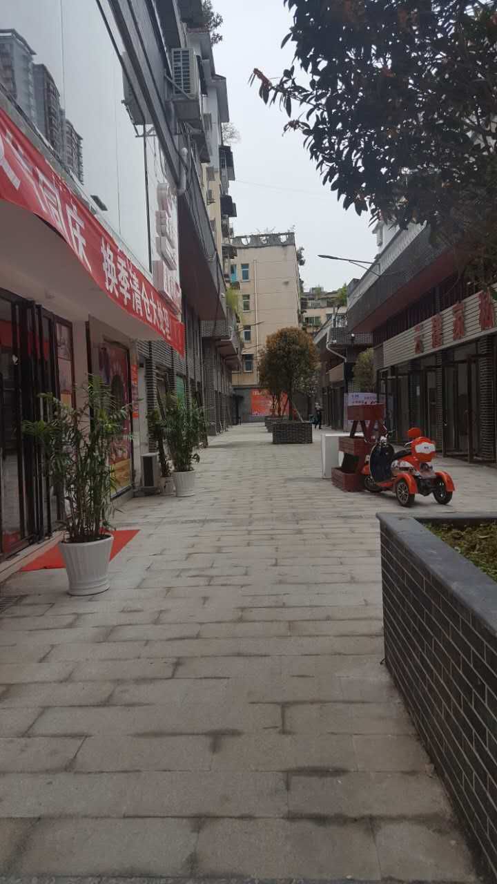 白马市场
