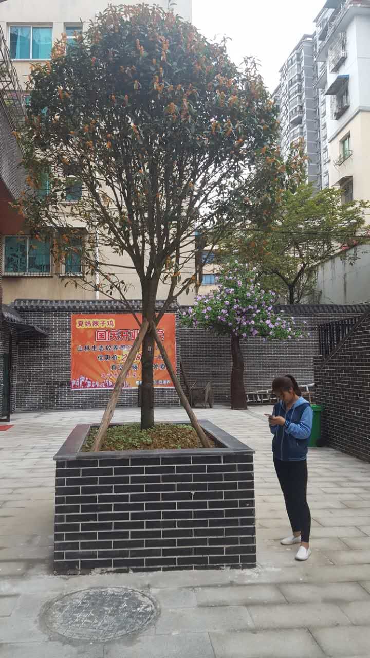 环境图片